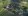 from_above.jpeg