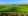 vineyards2.jpg