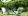 casagrande_gaeden.webp